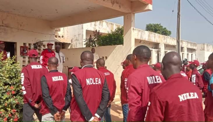 NDLEA Recovers Drugs, Other Illicit Substances From Top APC Senator’s House