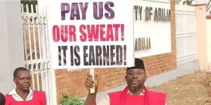 Nigerian universities face fresh lockdown as NASU and SSANU declare indefinite nationwide strike