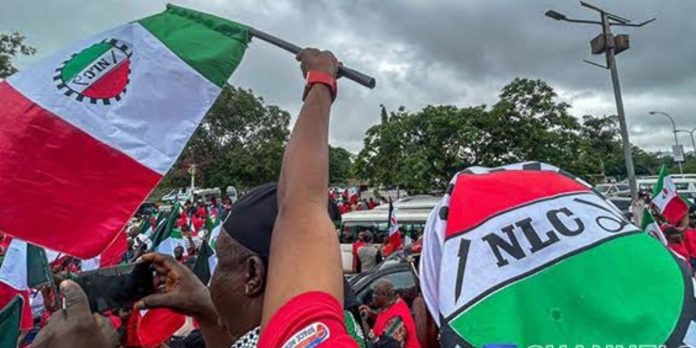 NLC Slams NBS Report, Accuses Tinubu Government of Manipulating Unemployment Data